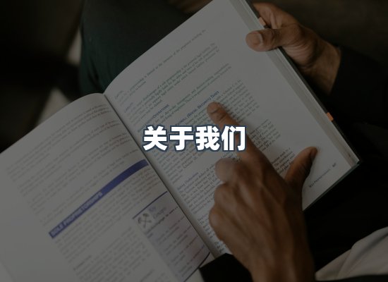 专业团队